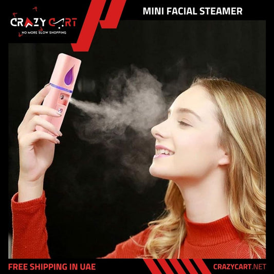 Mini Facial Steamer