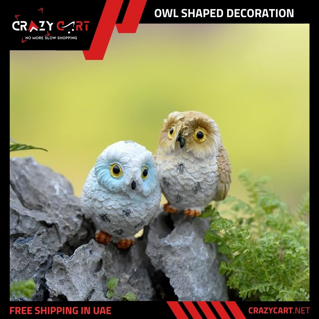 Owl Shaped Decoration Piece