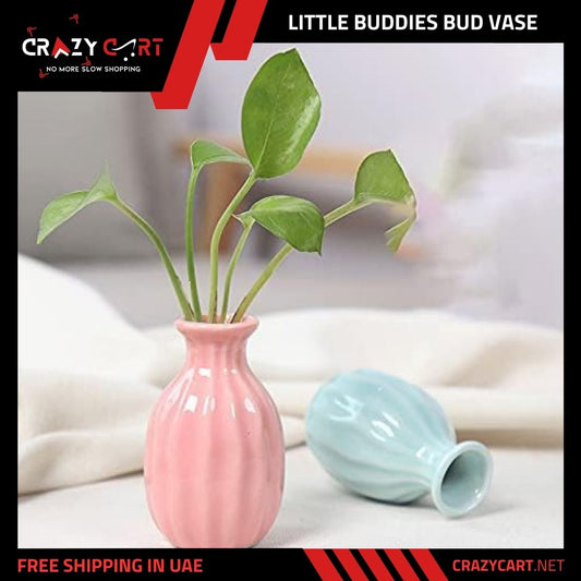 Little Buddies Bud Vase